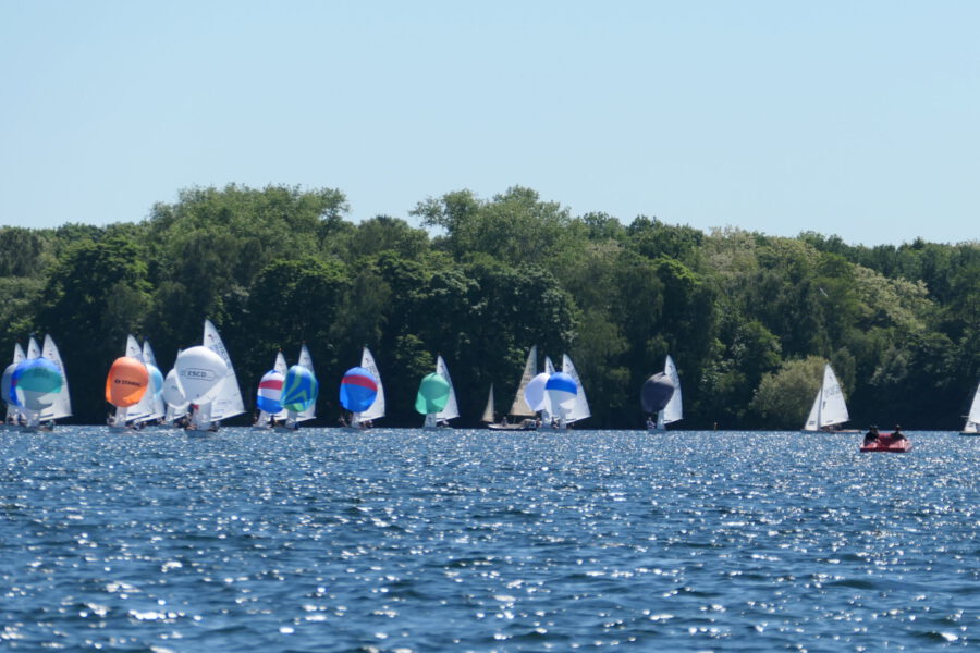 Feld mit allen booten bei der Piraten Regatta des DSCU